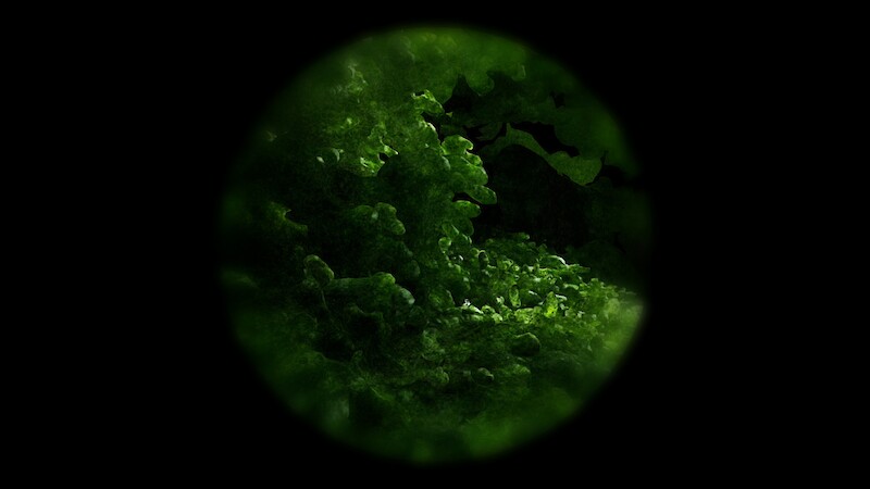 Sensory