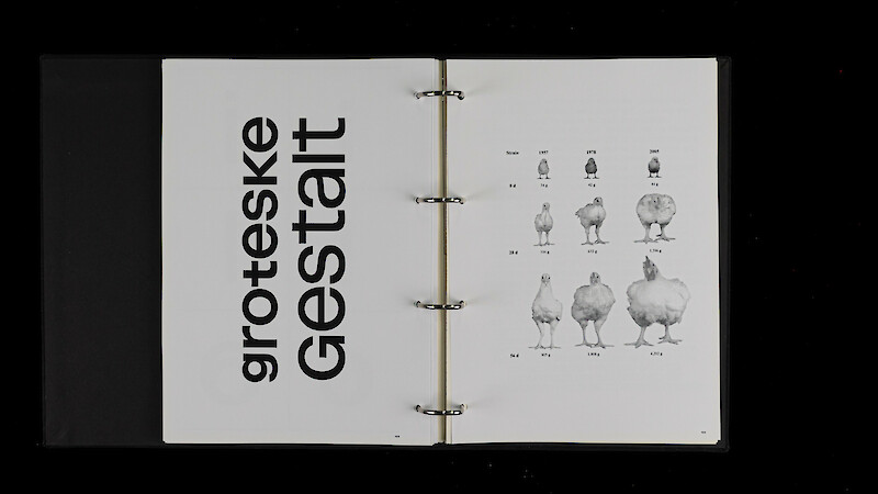 Ursprünglich Grotesk