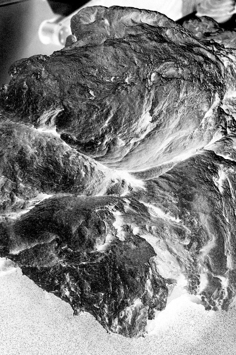 Ecologies of Matter