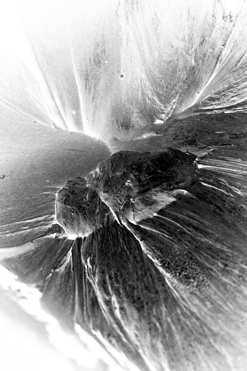 Ecologies of Matter