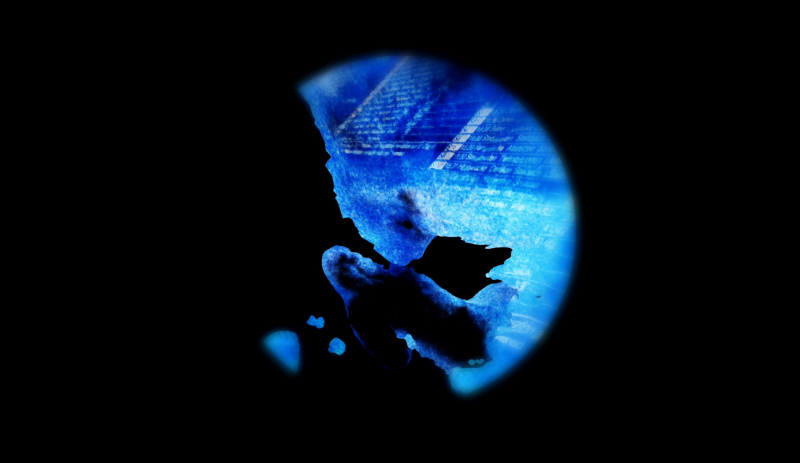 Projekte