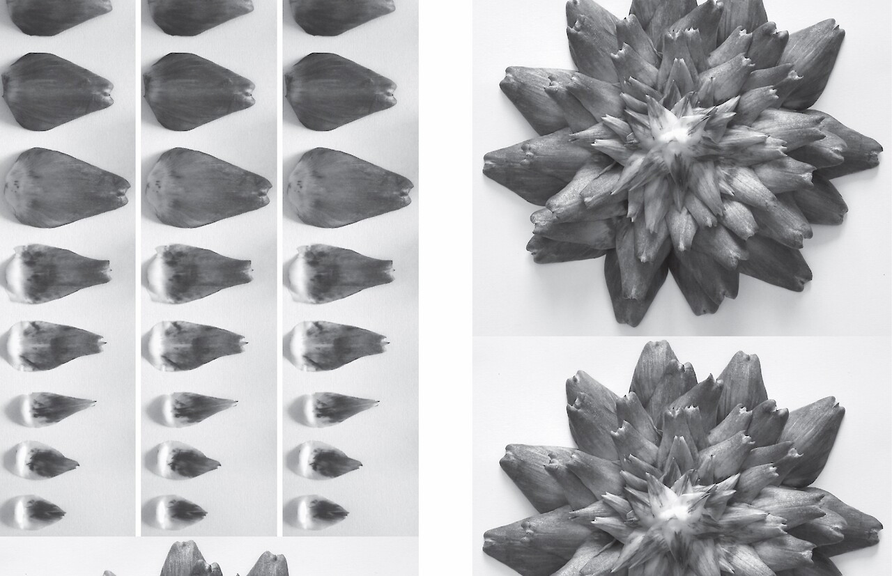 Thesis Development 1