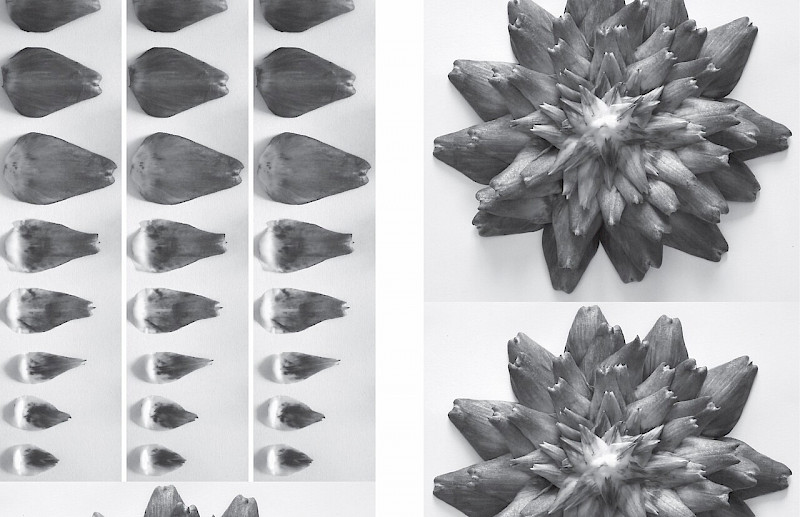 Thesis Development 1