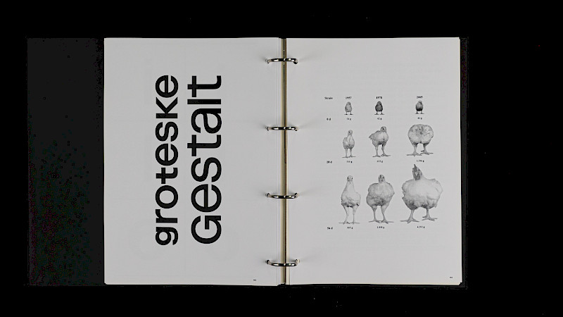 Ursprünglich Grotesk
