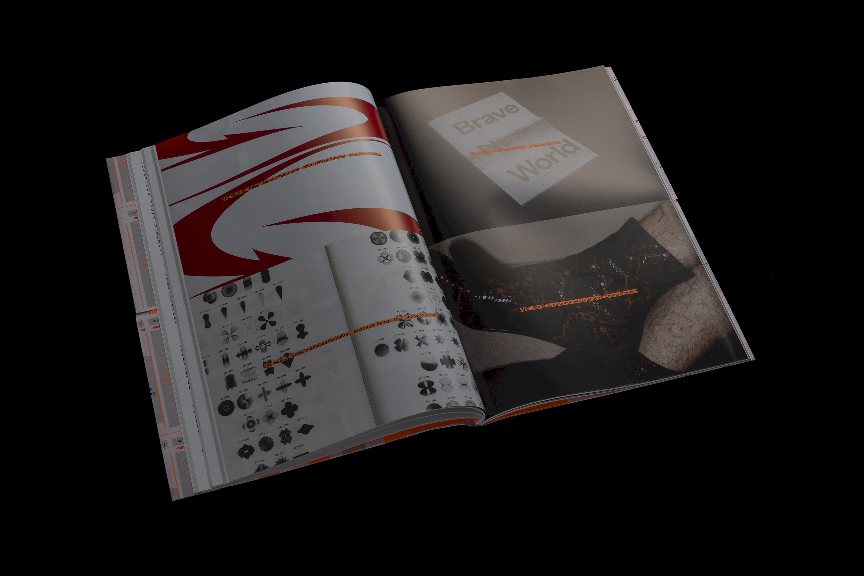 Diplompublikation BA/MA 2022