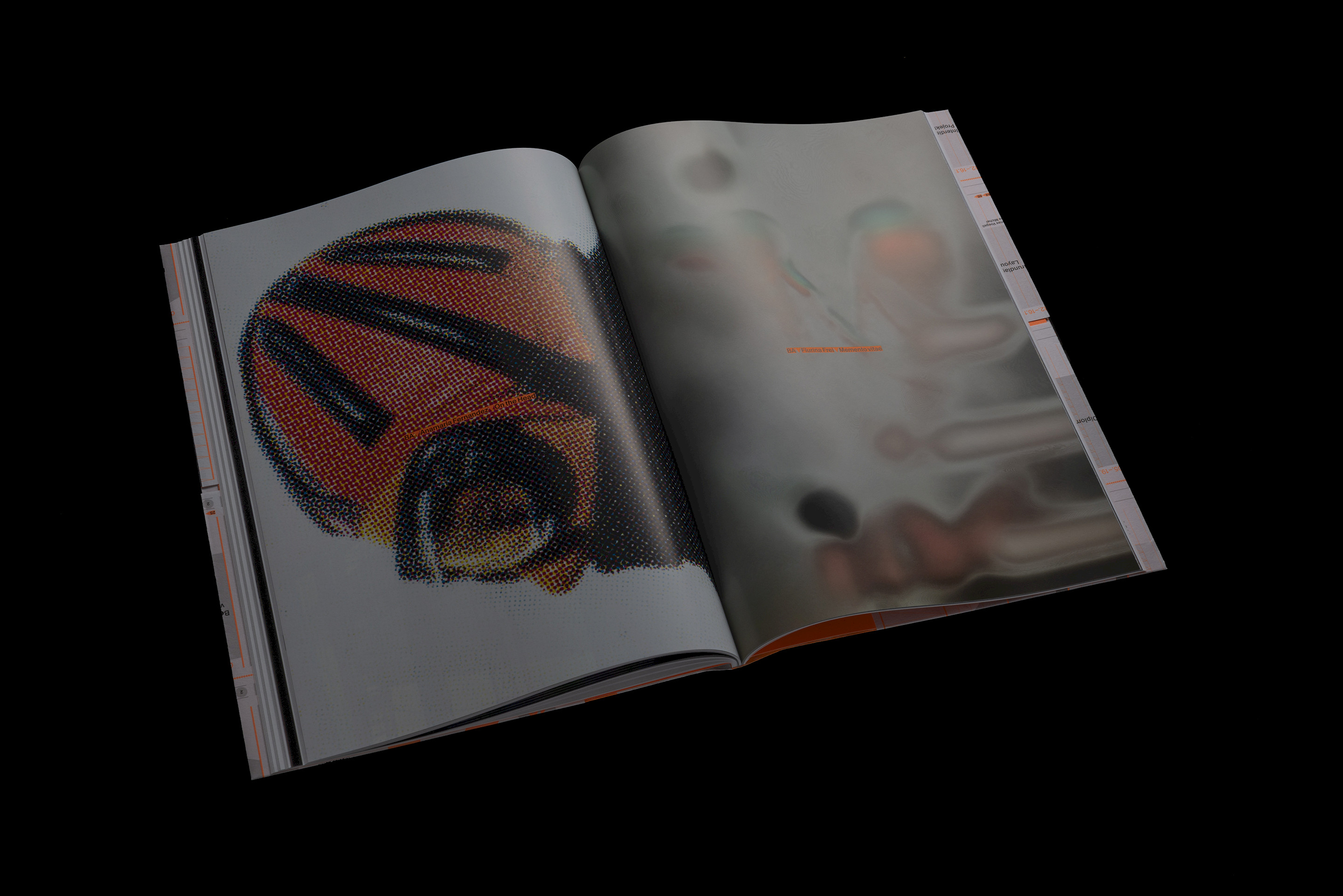 Diplompublikation BA/MA 2022