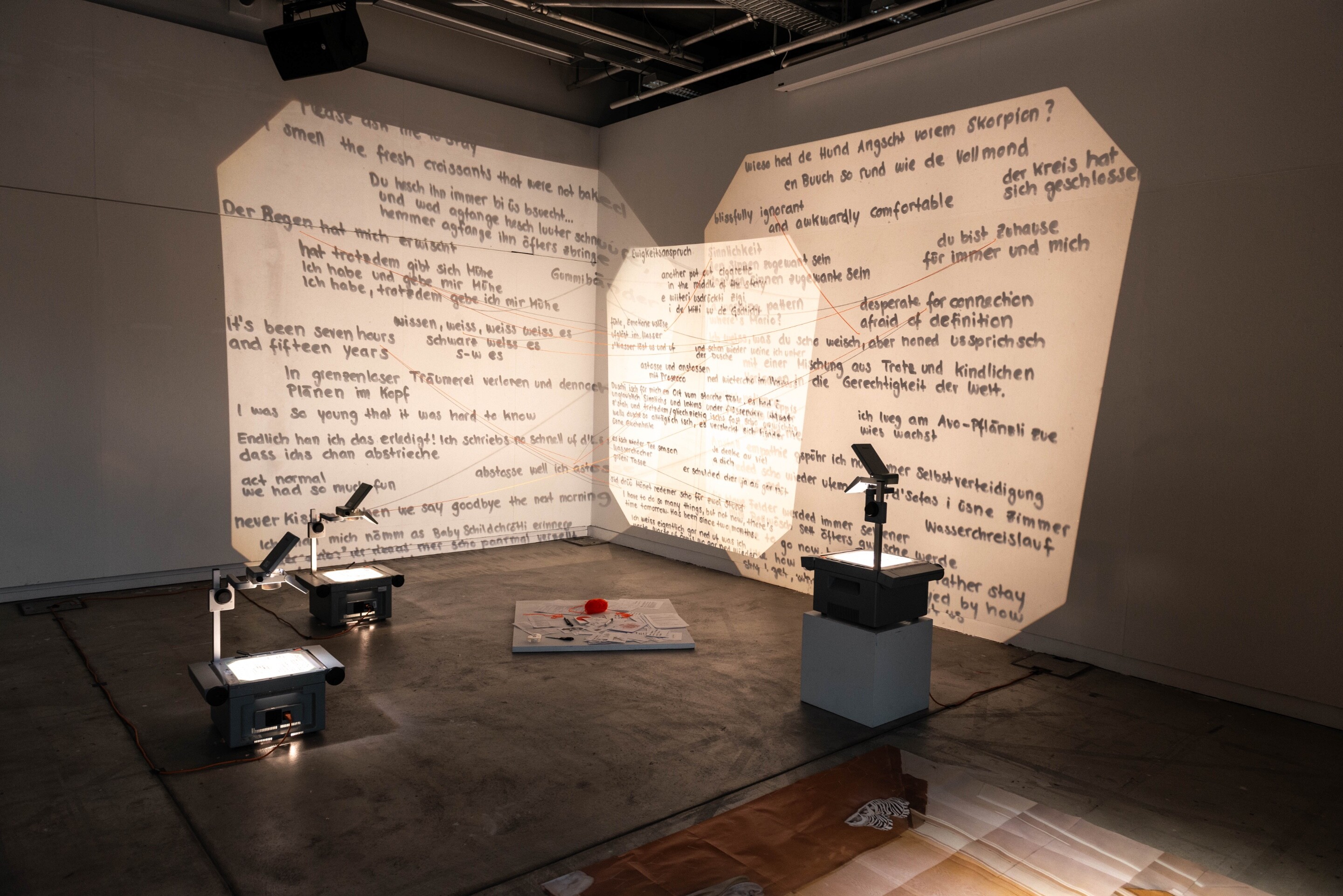 Julia Hürlimann, In the process of unraveling