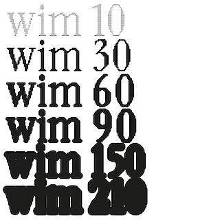 Abb. 4: WIM, Alicia Godel, Modul Type Design, ZHdK, 2023