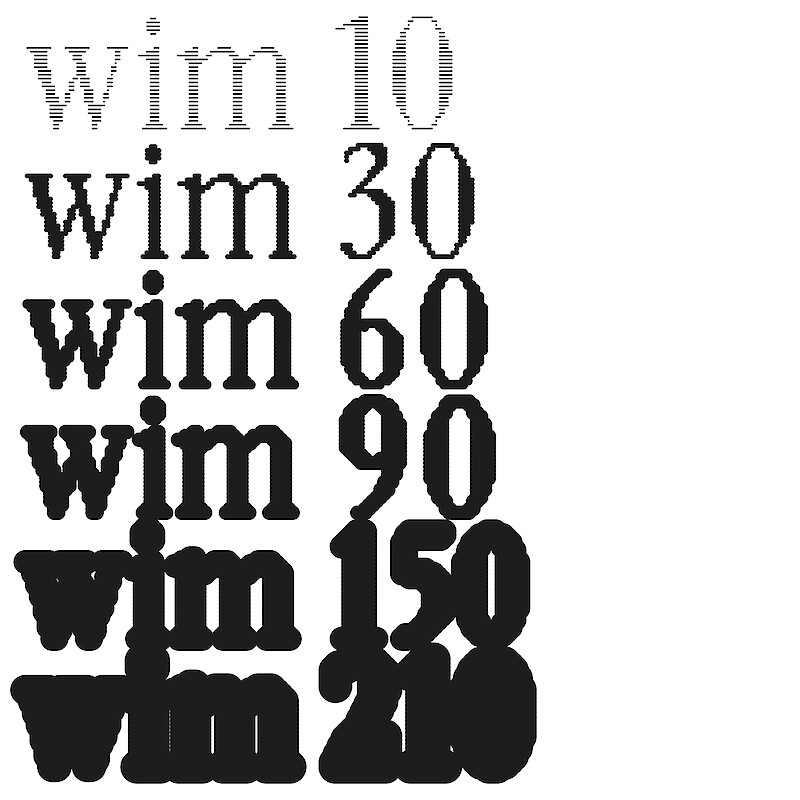 Abb. 4: WIM, Alicia Godel, Modul Type Design, ZHdK, 2023