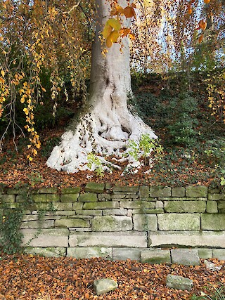 Abb. 2: Jelka Freivogel, Modul Experimentelles Gestalten, ZHdK 2023