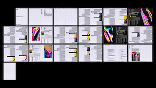 Ill. 3: Aatos Mononen, «DNA Privacy Manifesto», Layout Grundlagen Module ZHdK, 2023