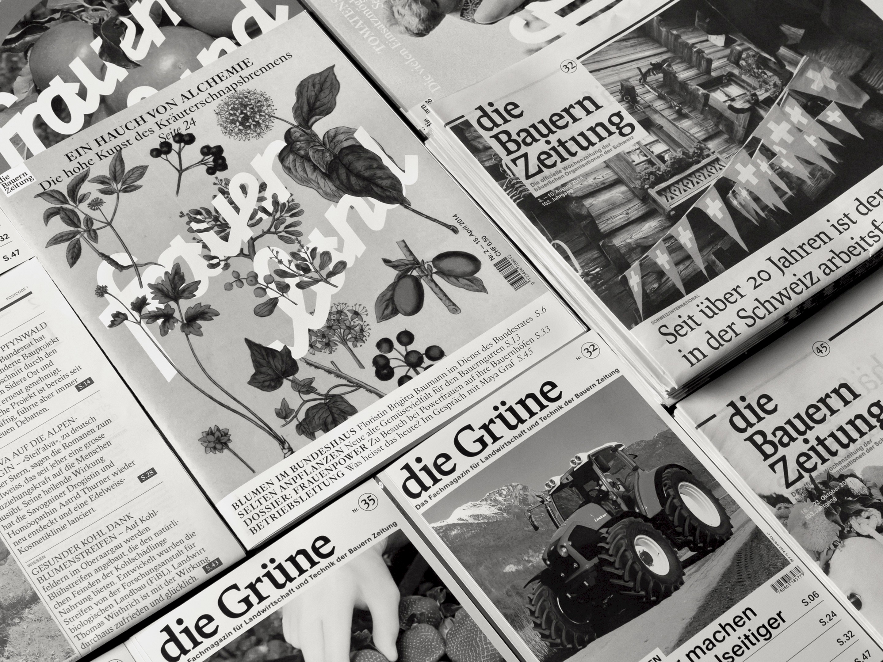 Arbeiten von Lukas Ackermann, Laia Ortiz Sansano, Jalscha Römer, Romy Strasser