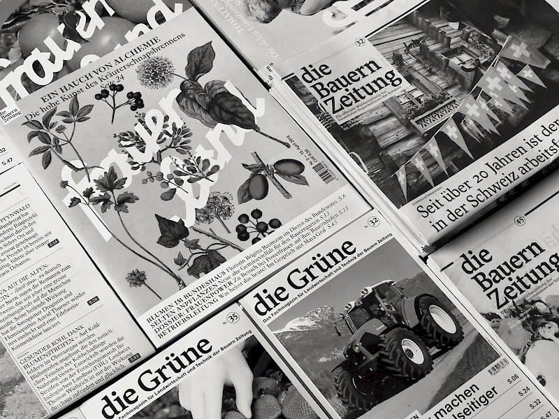 Arbeiten von Lukas Ackermann, Laia Ortiz Sansano, Jalscha Römer, Romy Strasser