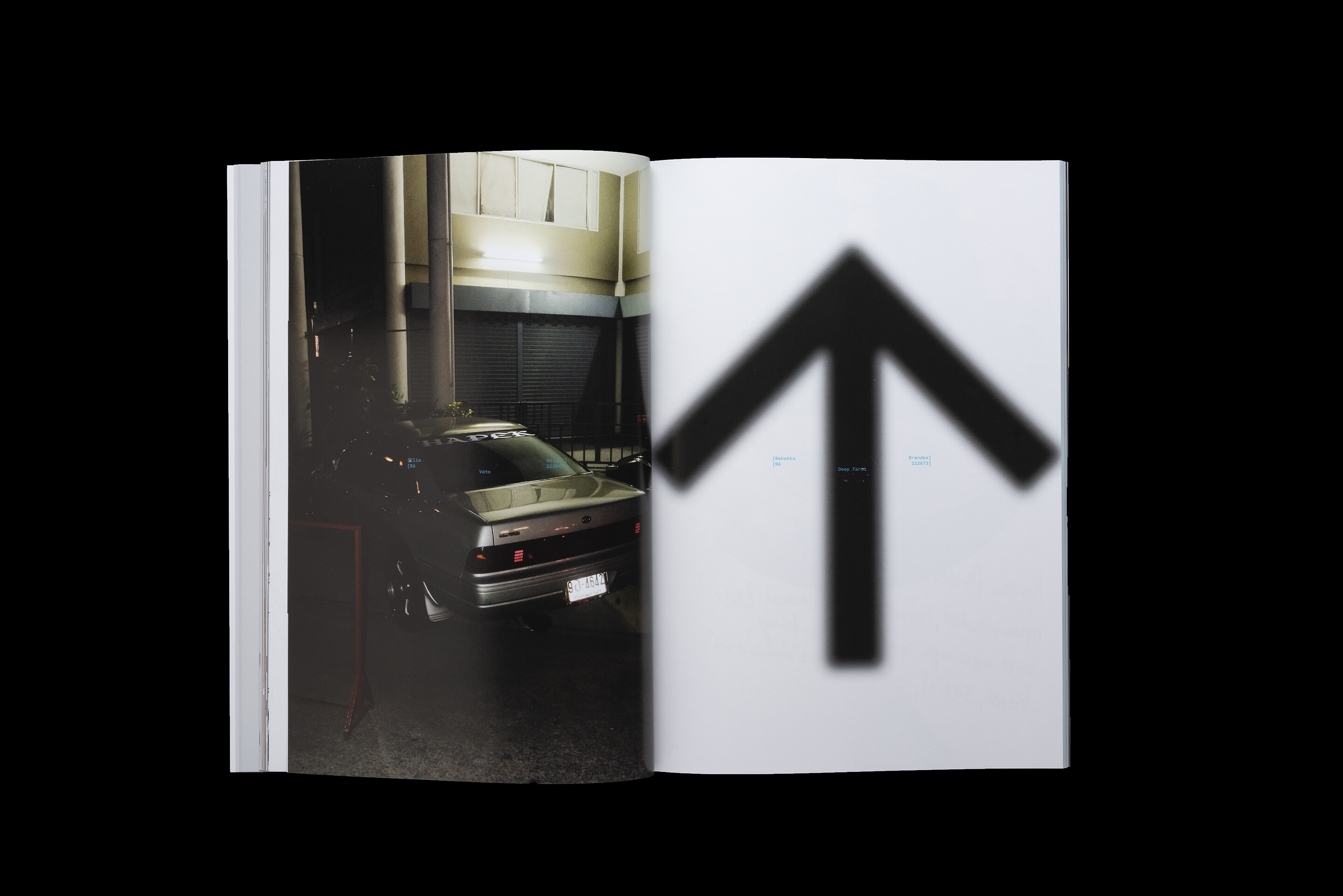 Diplompublikation BA/MA 2024