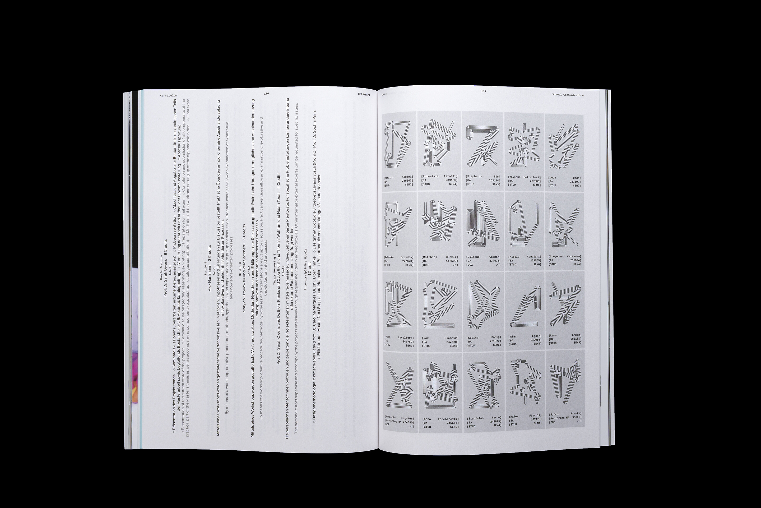 Diplompublikation BA/MA 2024