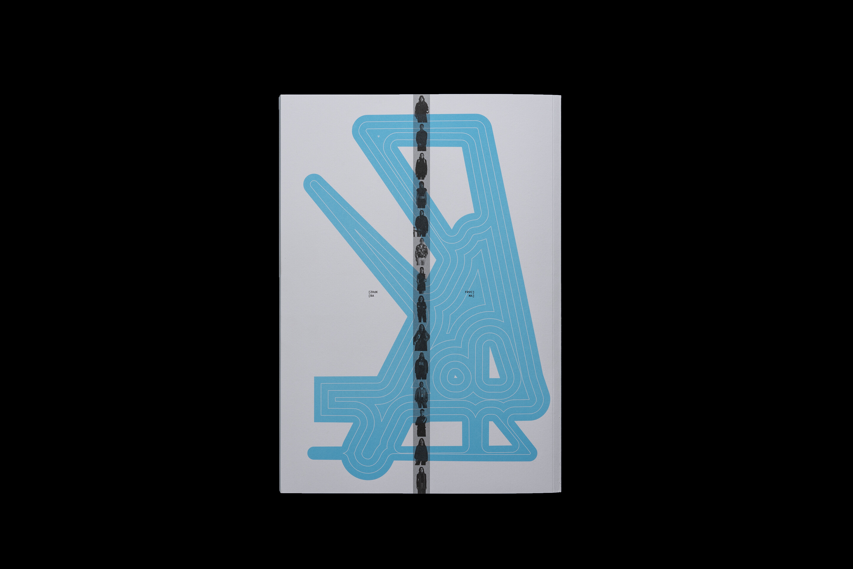 Diplompublikation BA/MA 2024