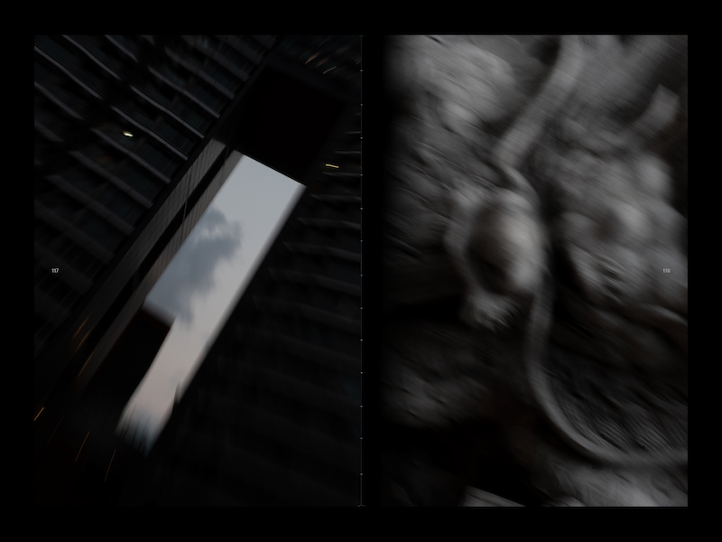 There are Dragons above Us