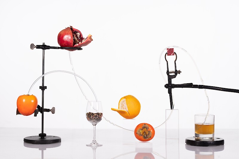 Abb. 3: Praveena Srirathan, «F.T. Marinetti. Rohes Fleisch im Klang der Trompete geschnitten», Grundkurs Fotografie, ZHdK, 2022