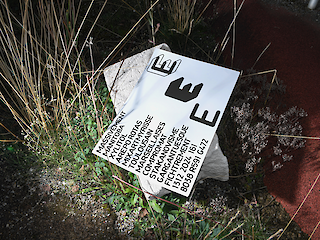 Abb. 1: Stanislas Favre, Niagara Schriftmuster, Modul Type Design, ZHdK, 2023