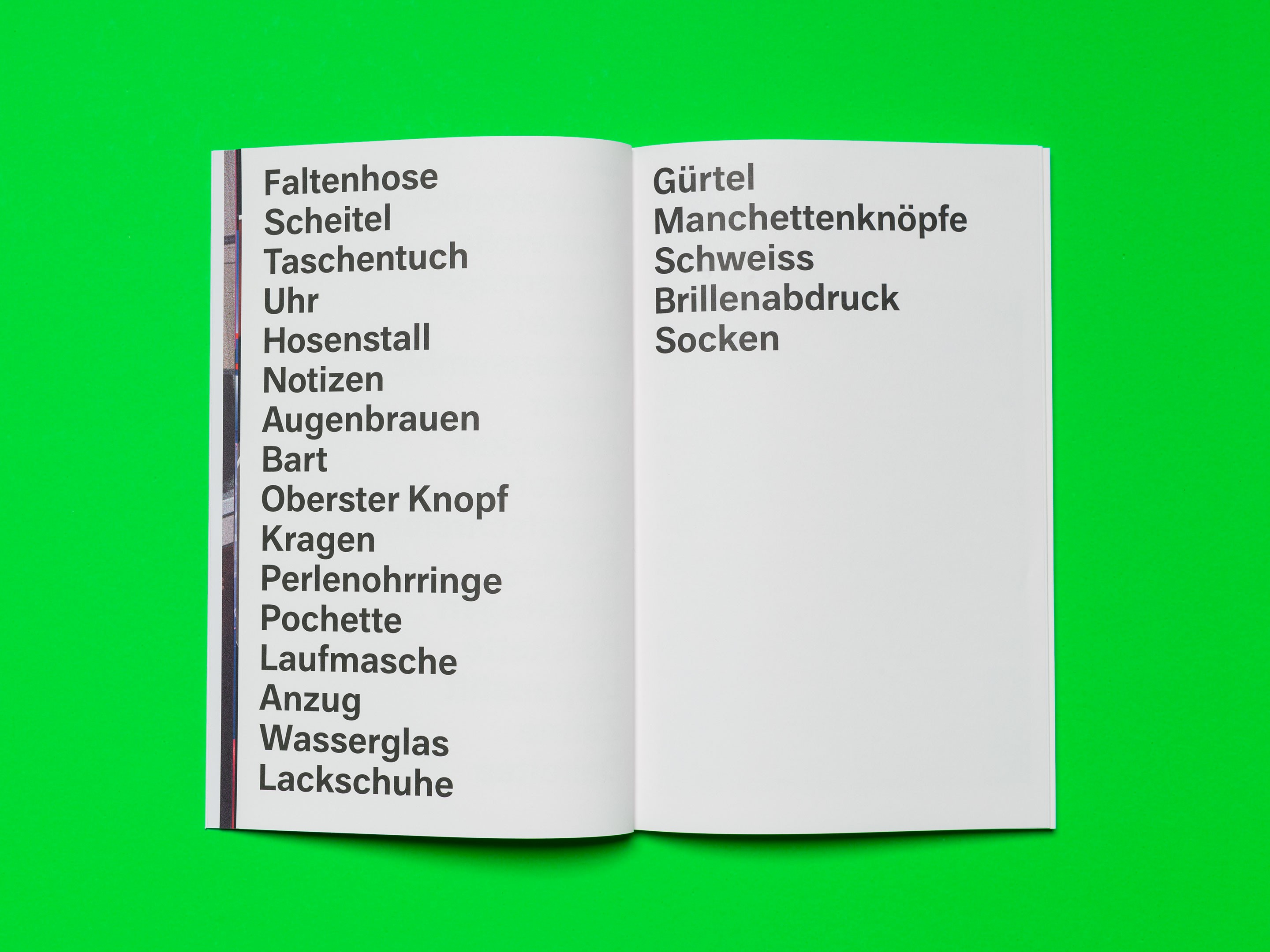 Analytischer Ratgeber einer Politdebatte