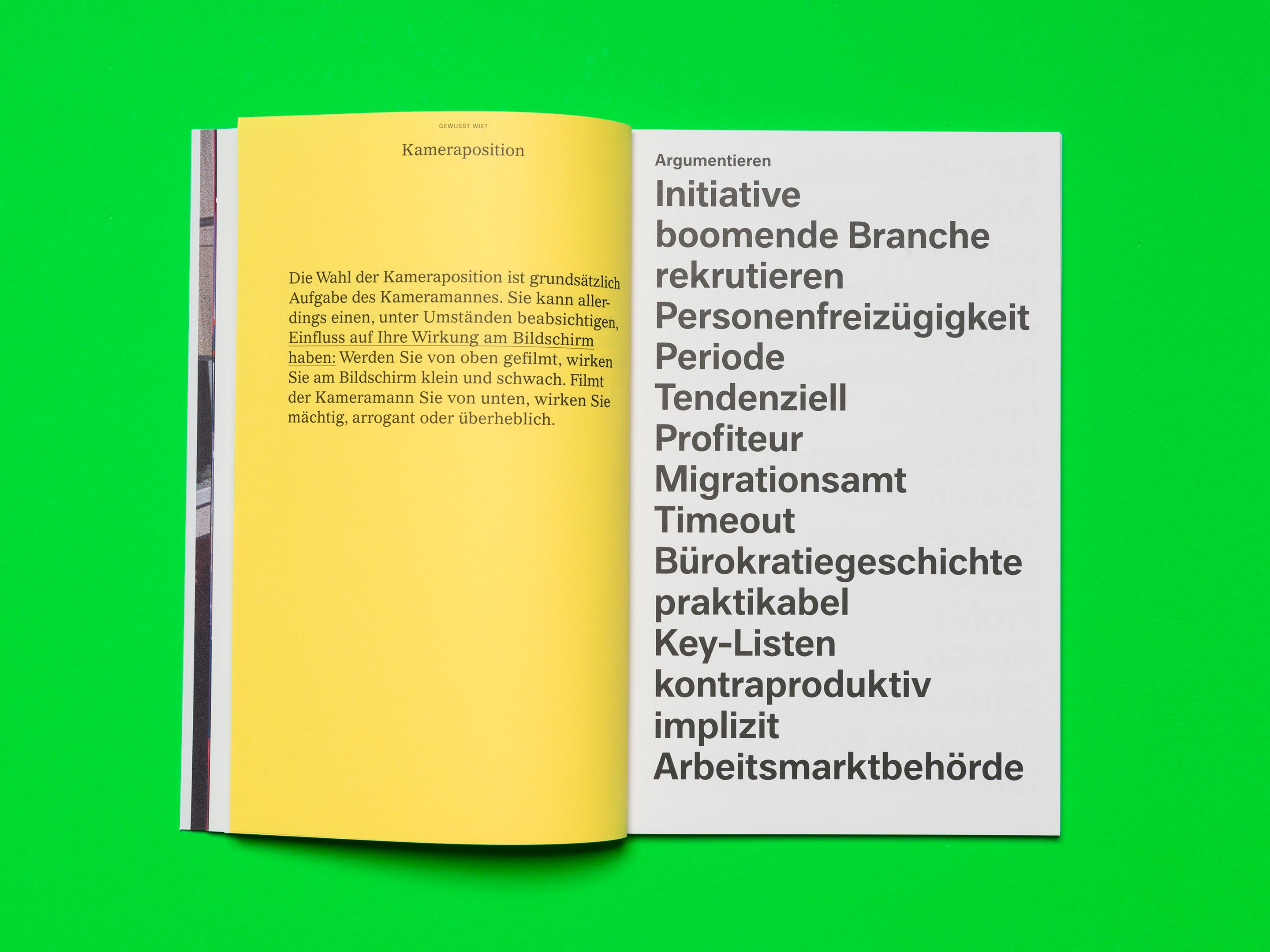 Analytischer Ratgeber einer Politdebatte