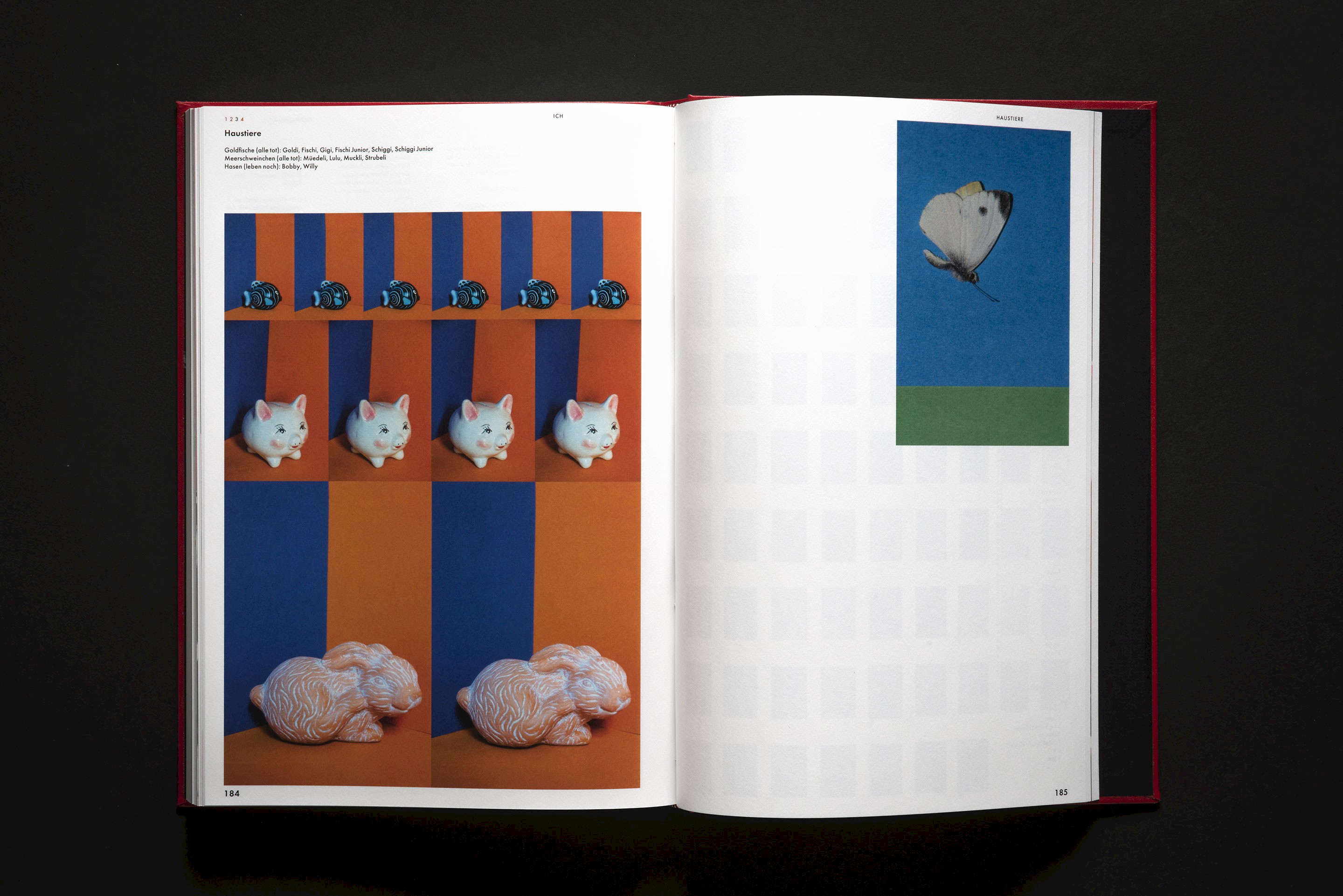 Mein Dorf, mein Zuhause und ich: Porträt einer Schweizerin