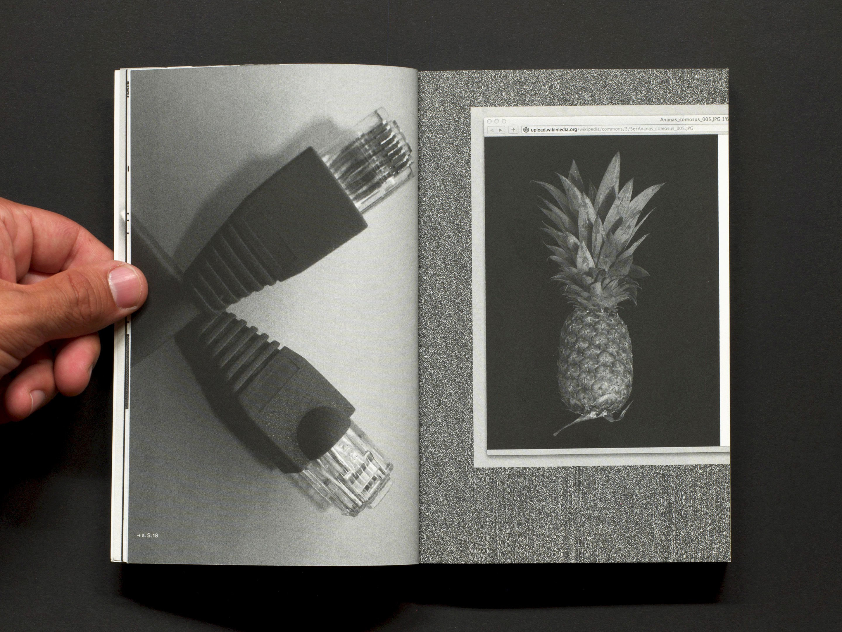 Les Horribles Cernettes