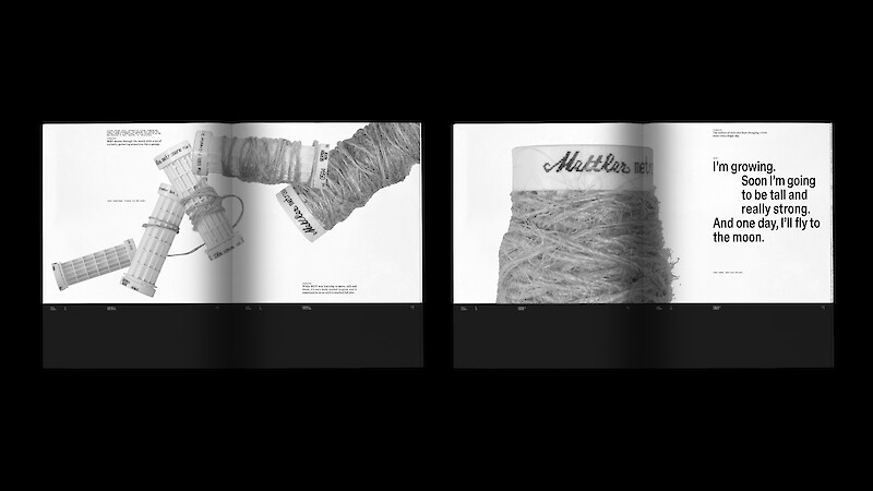 Hairy Affair