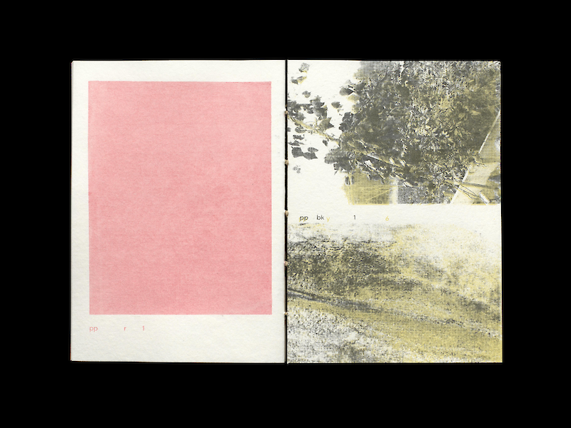 printed plants catalog