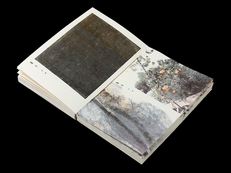 printed plants catalog
