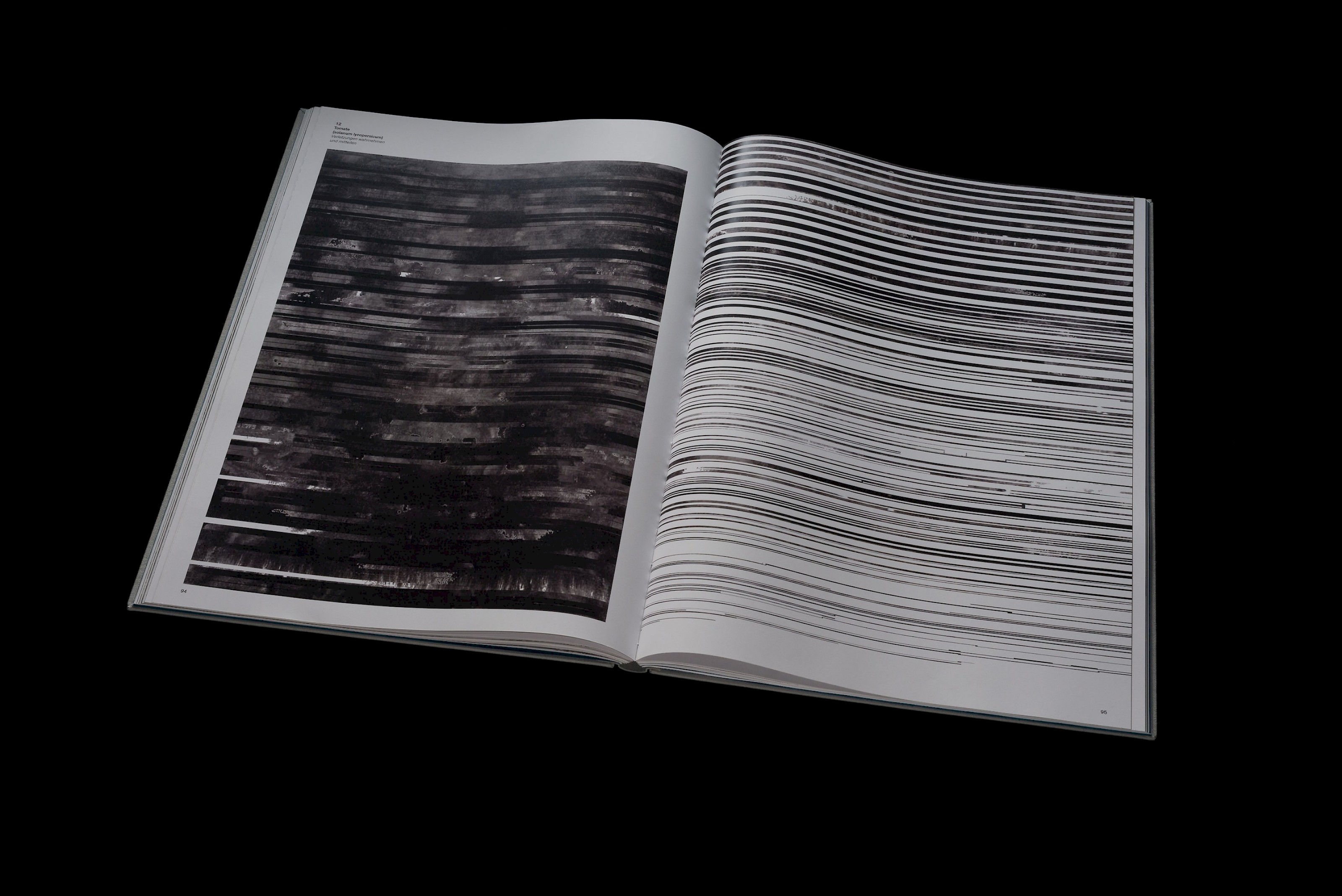 The senses of plants