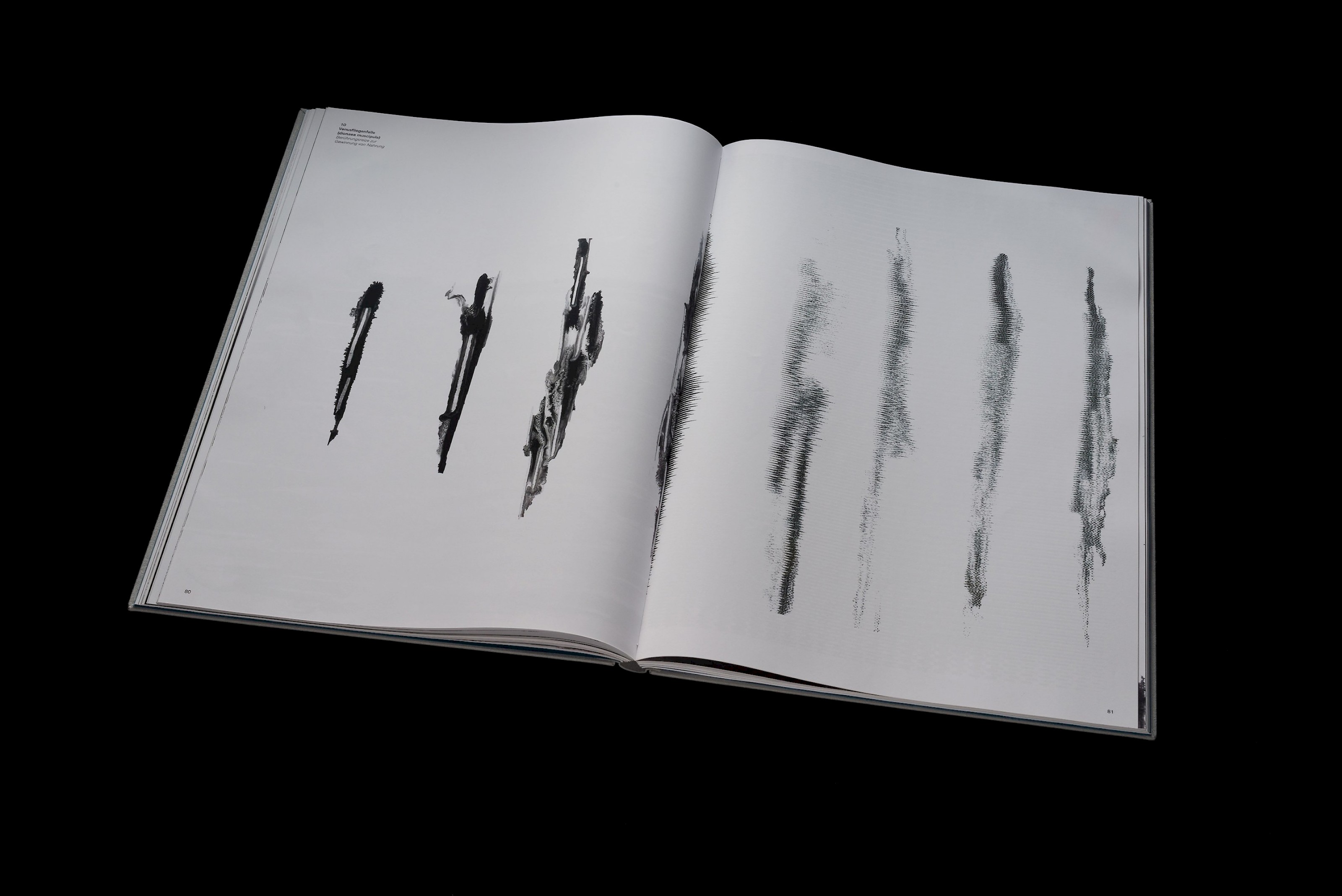 The senses of plants