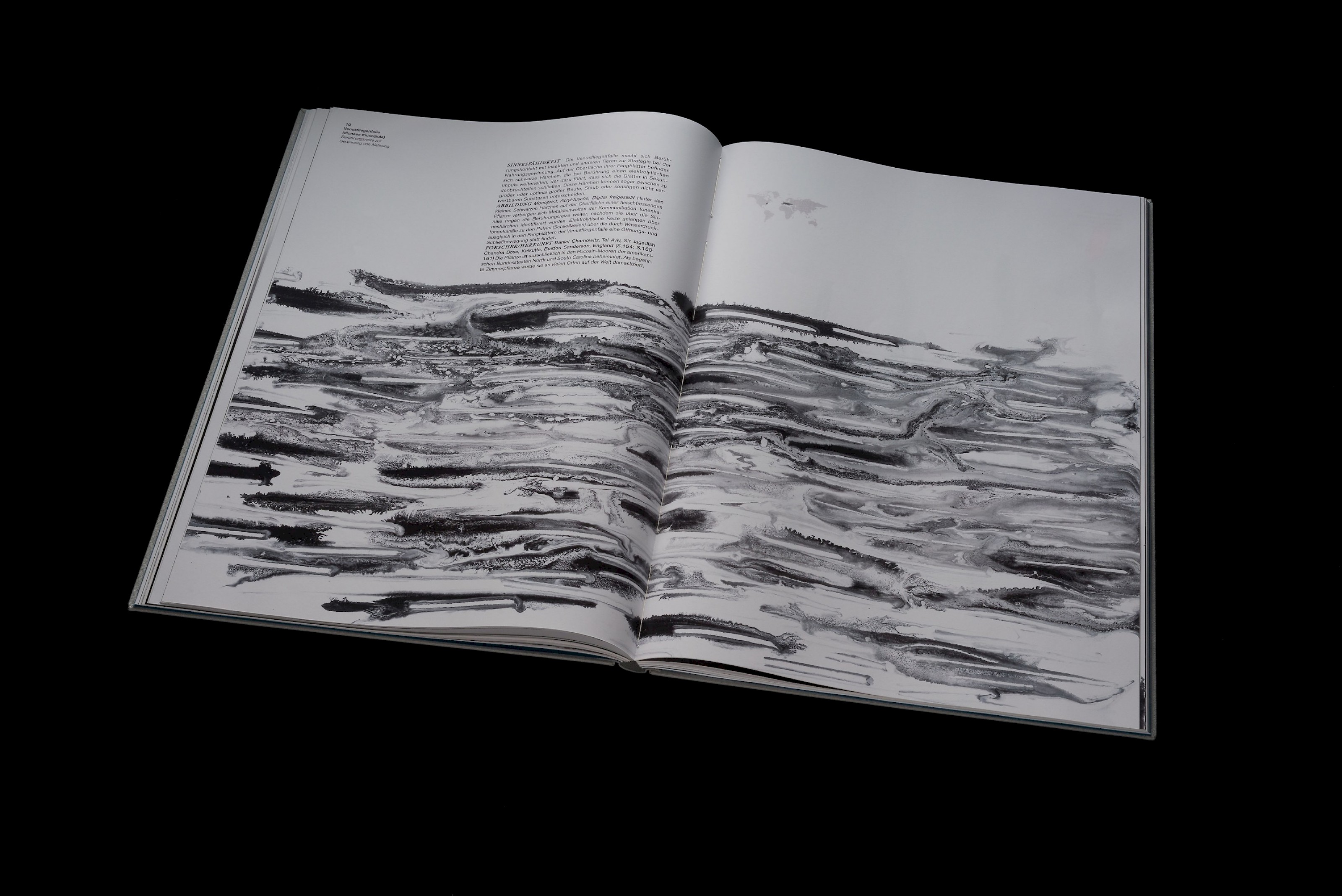 The senses of plants