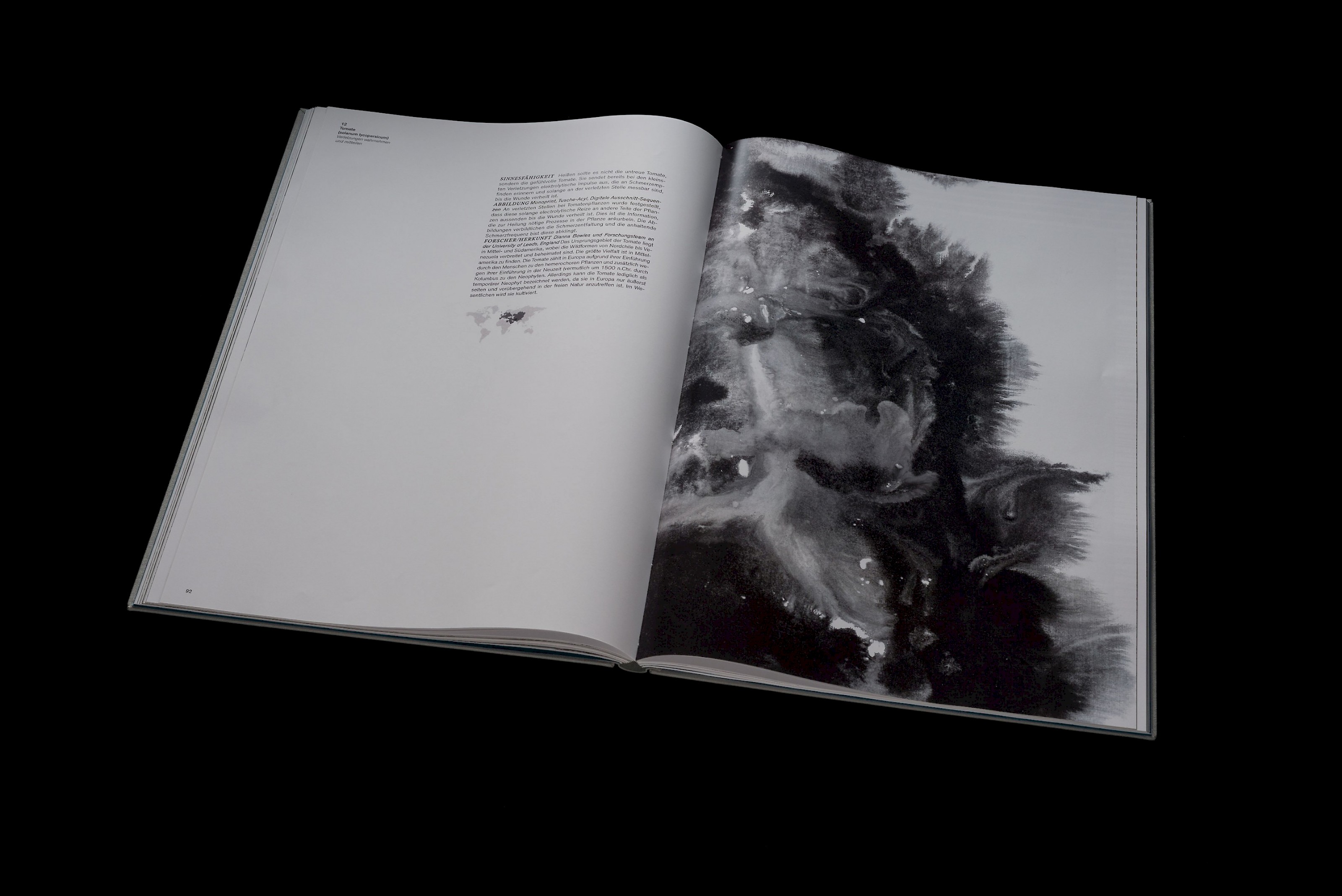 The senses of plants