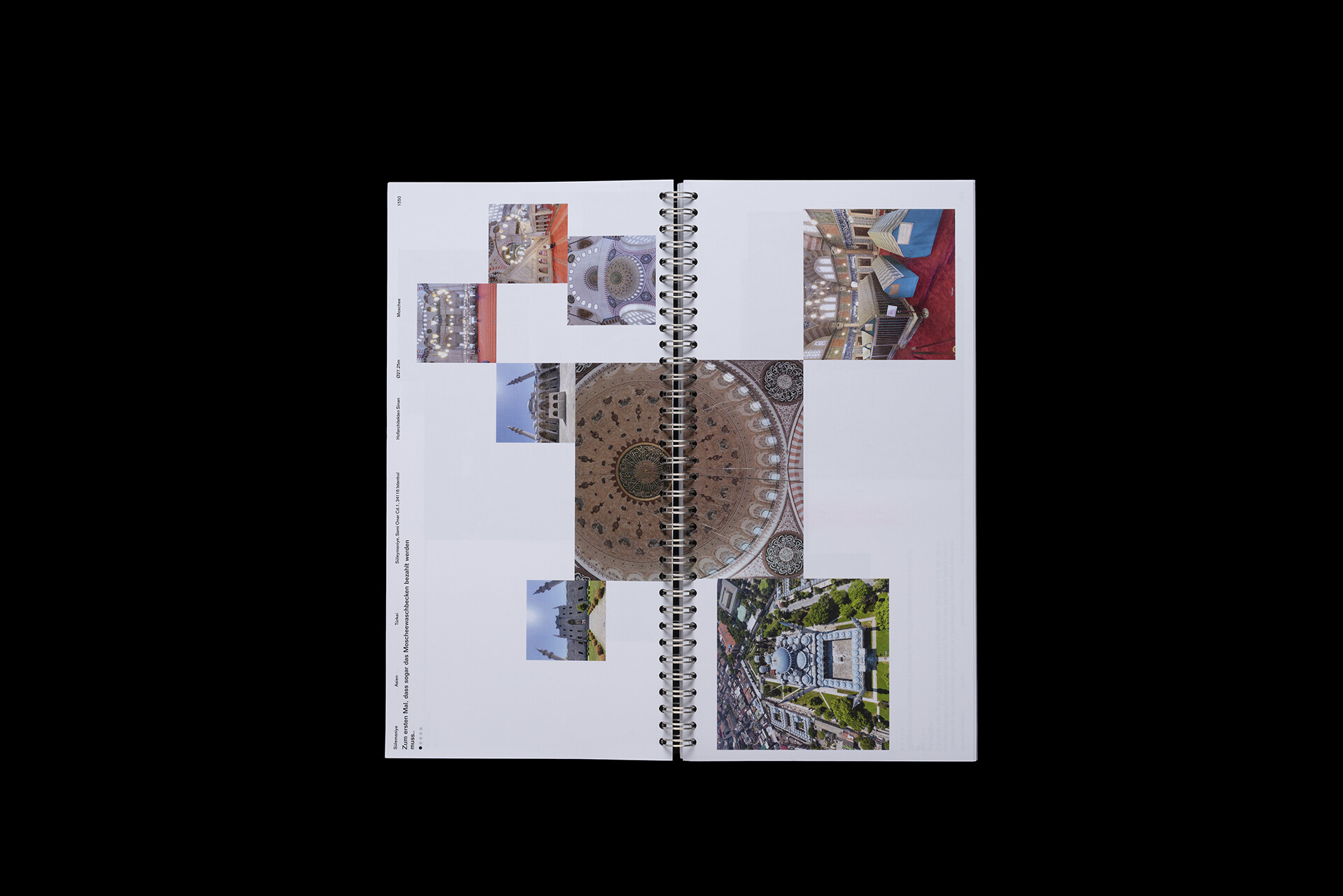 Niclas Funk, Marc Iseli, Lisa Steiger, Viviane Bettschart