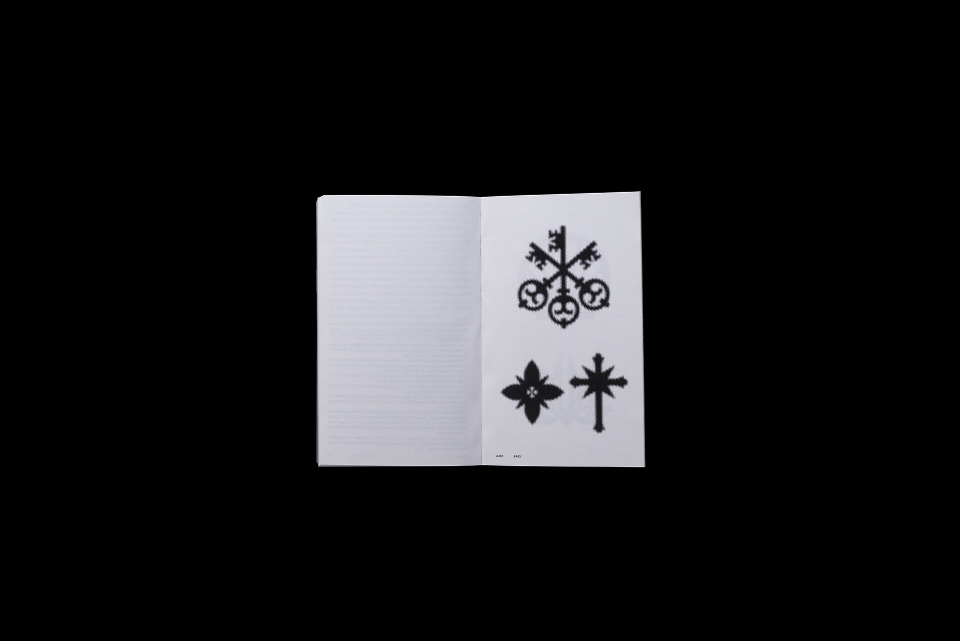 Praveena Srirathan, Anna Silva