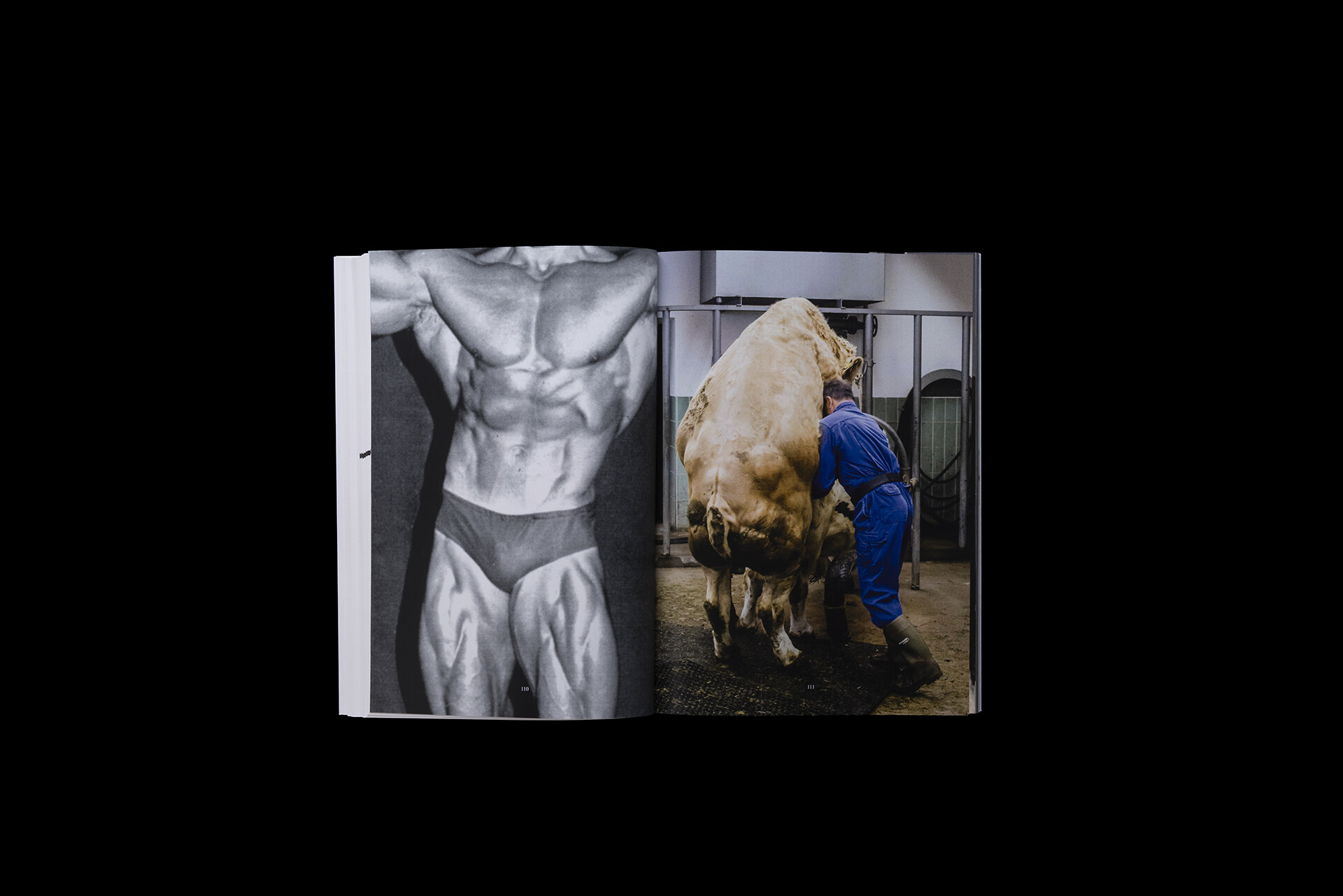 Clara Kuhnke, Lois Grimm