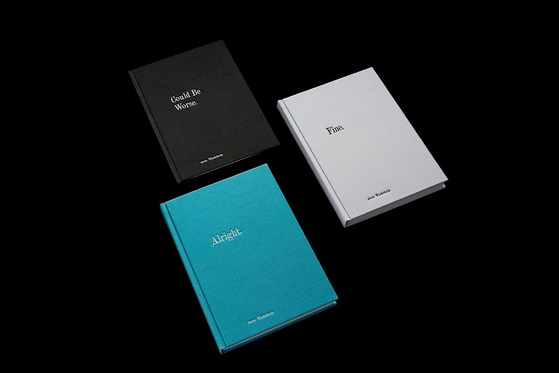 Fine. — A System for Recording and Visualizing Emotion