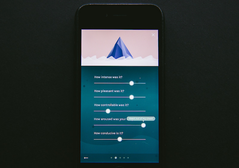 Fine. — A System for Recording and Visualizing Emotion