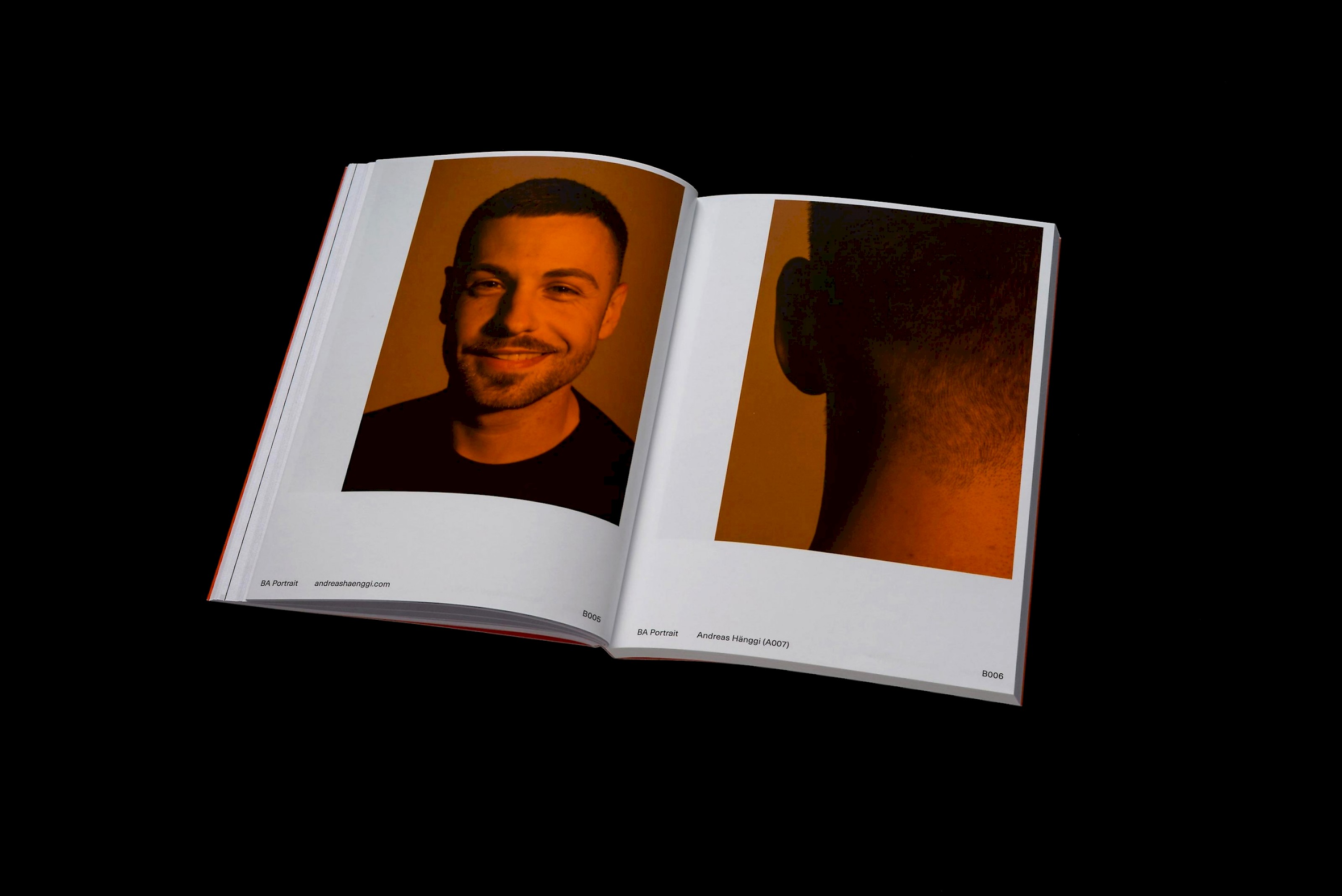 Diplompublikation BA/MA 2017