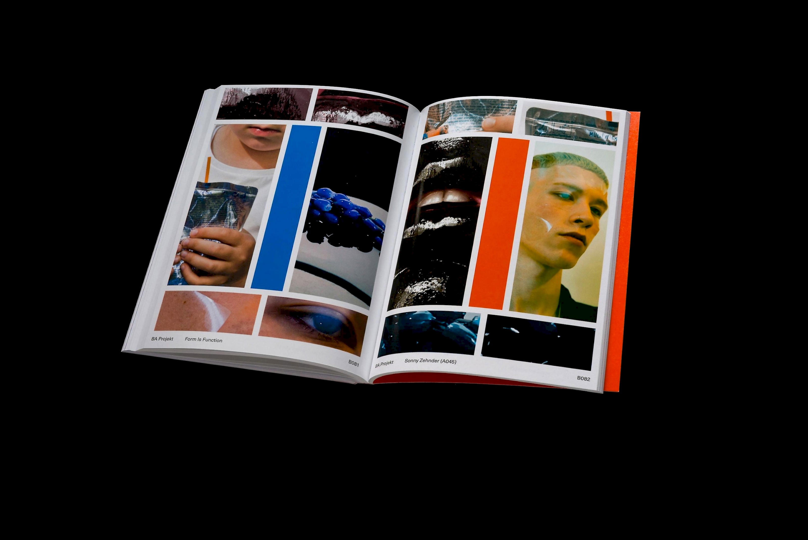 Diplompublikation BA/MA 2017