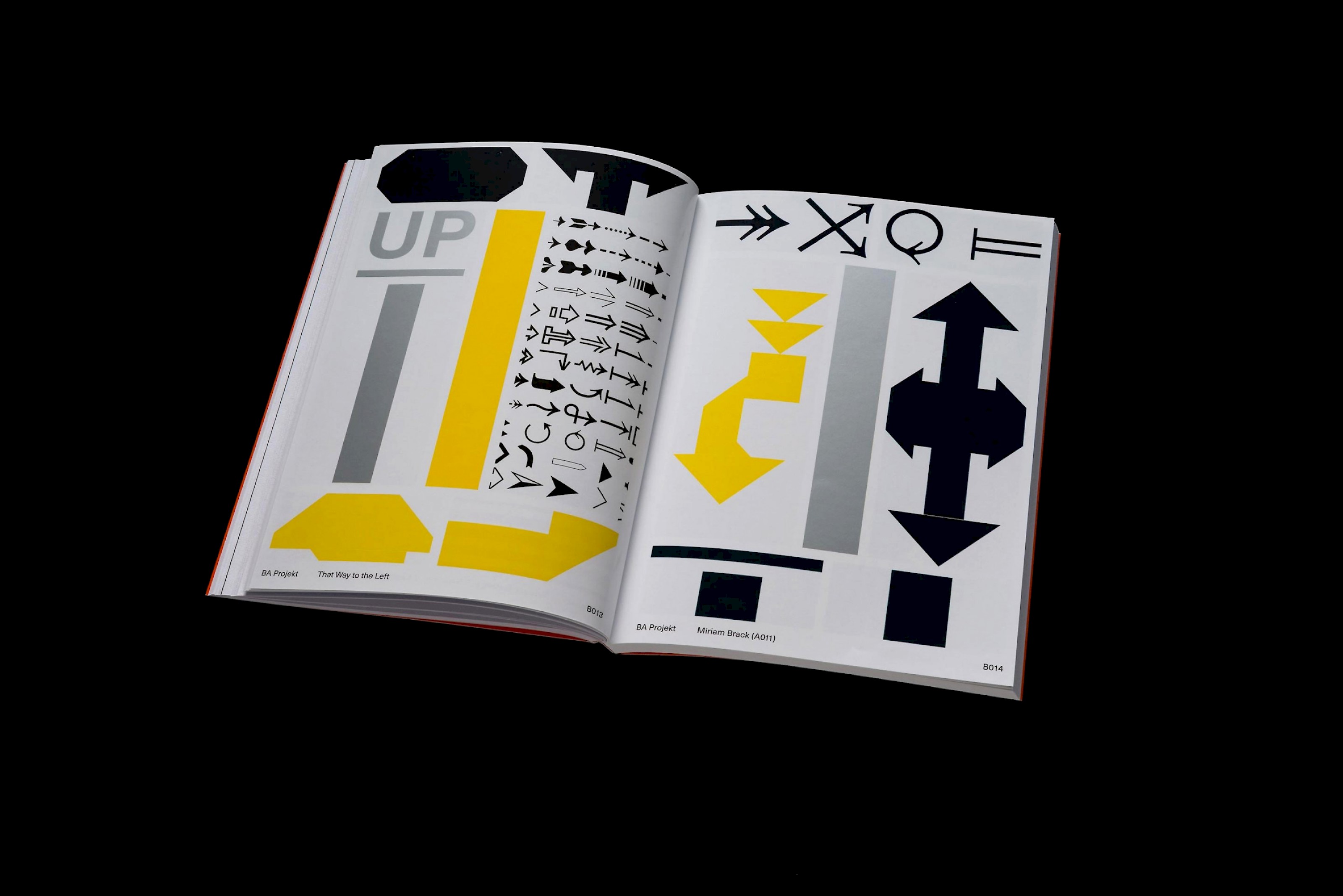 Diplompublikation BA/MA 2017