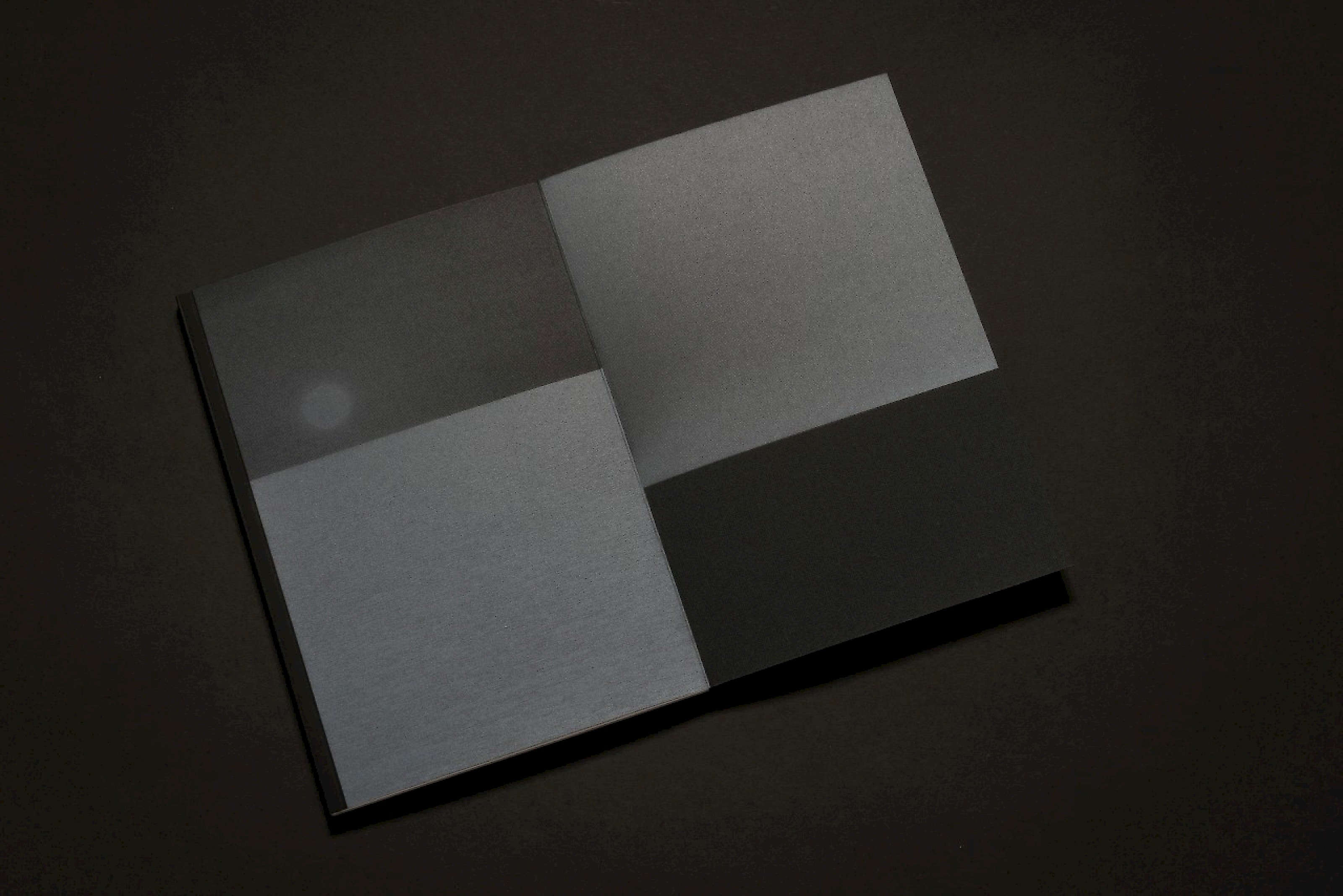 Diplompublikation BA/MA 2016