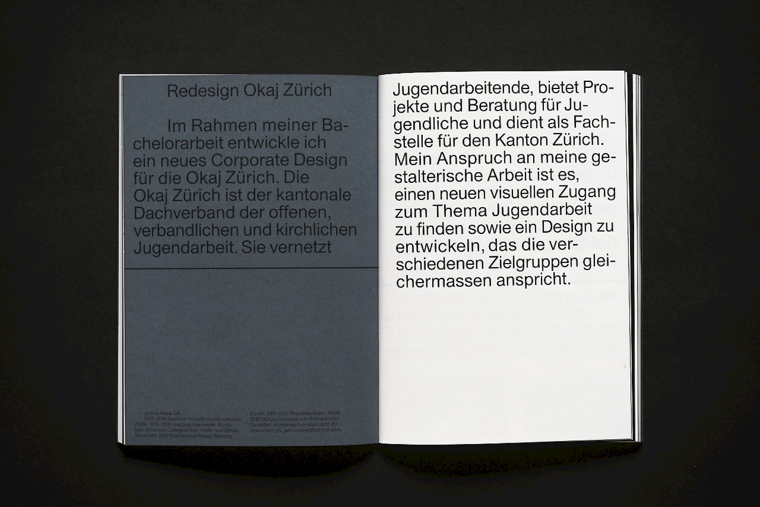 Diplompublikation BA/MA 2016