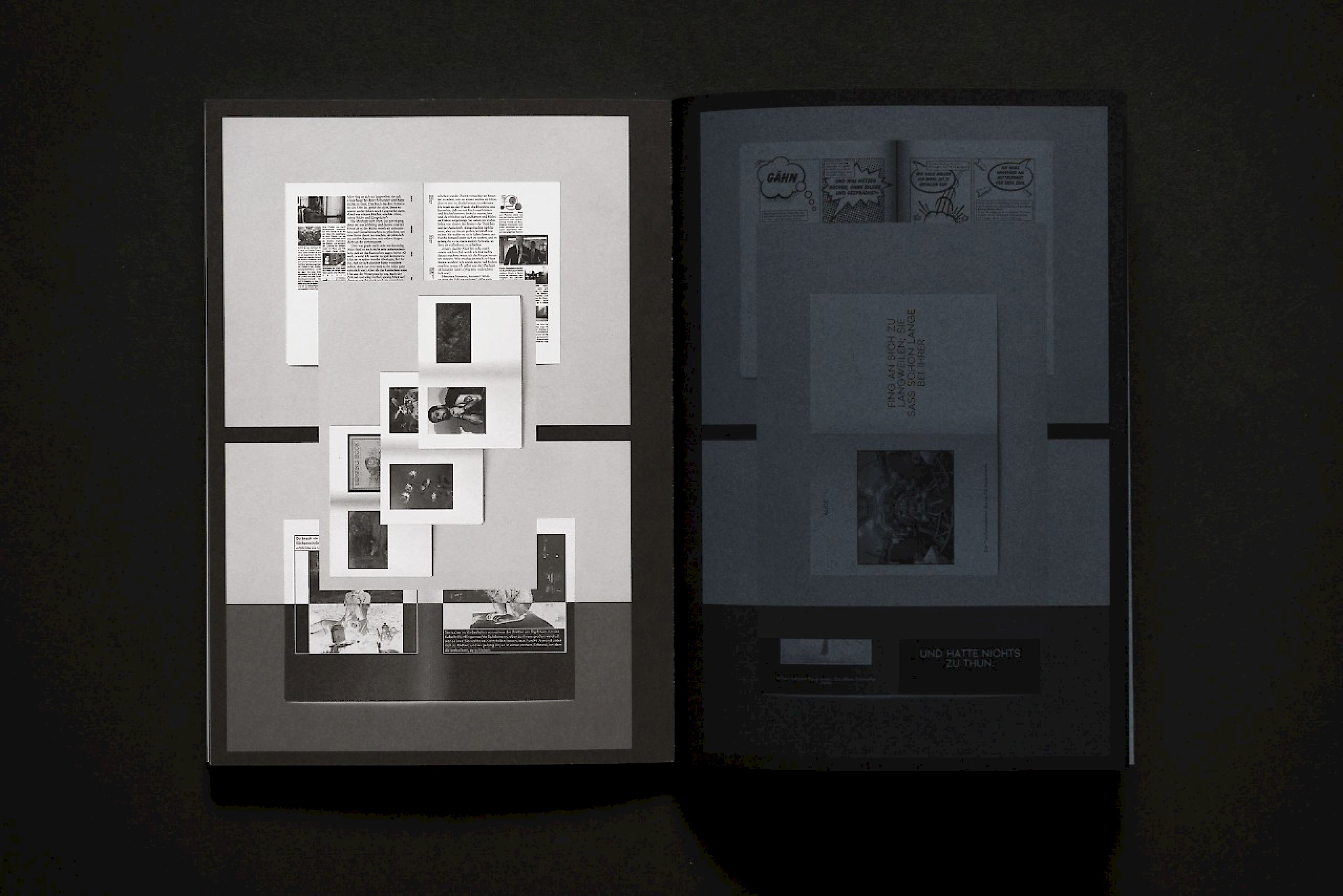 Diplompublikation BA/MA 2016