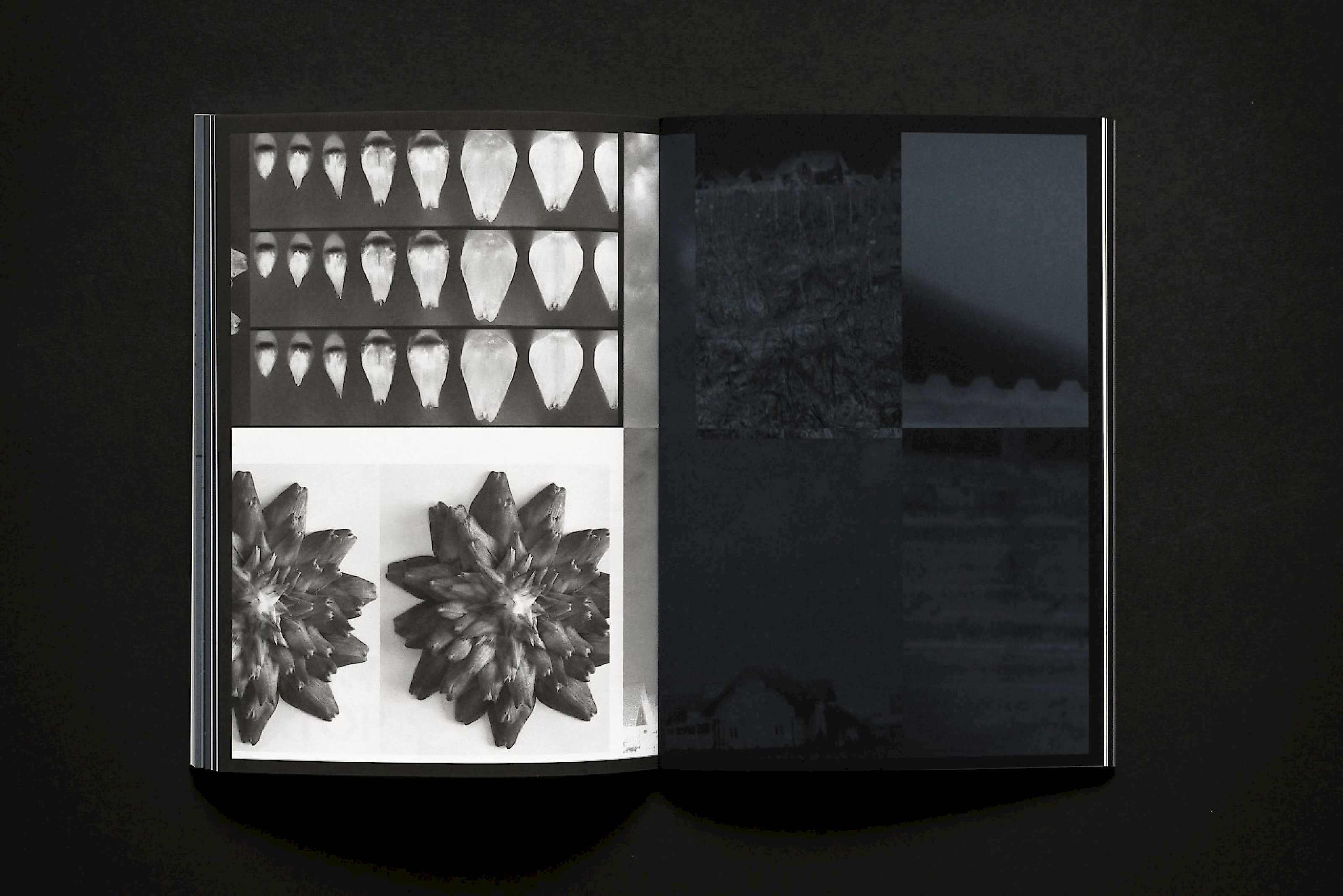 Diplompublikation BA/MA 2016