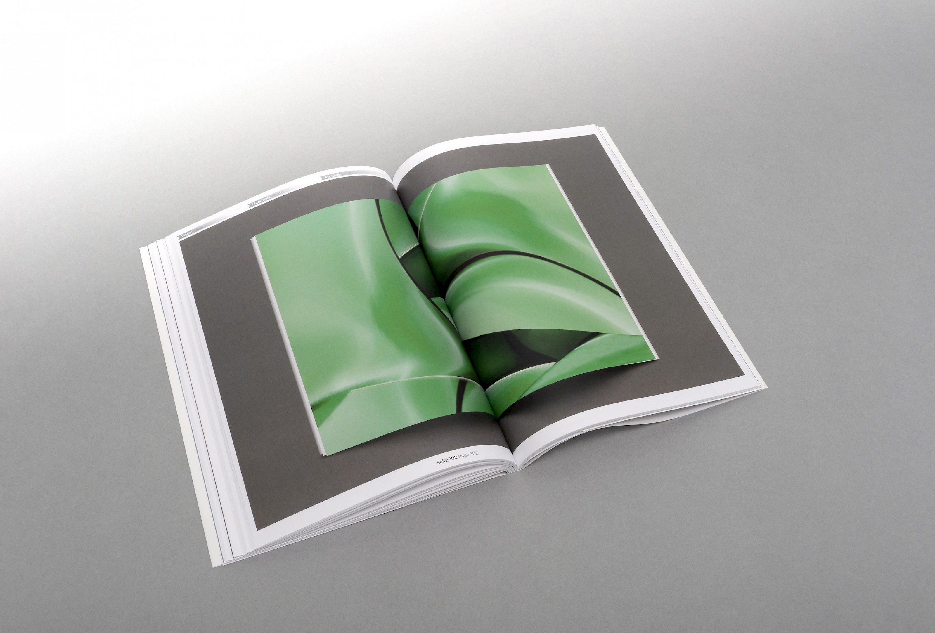 Diplompublikation 2018