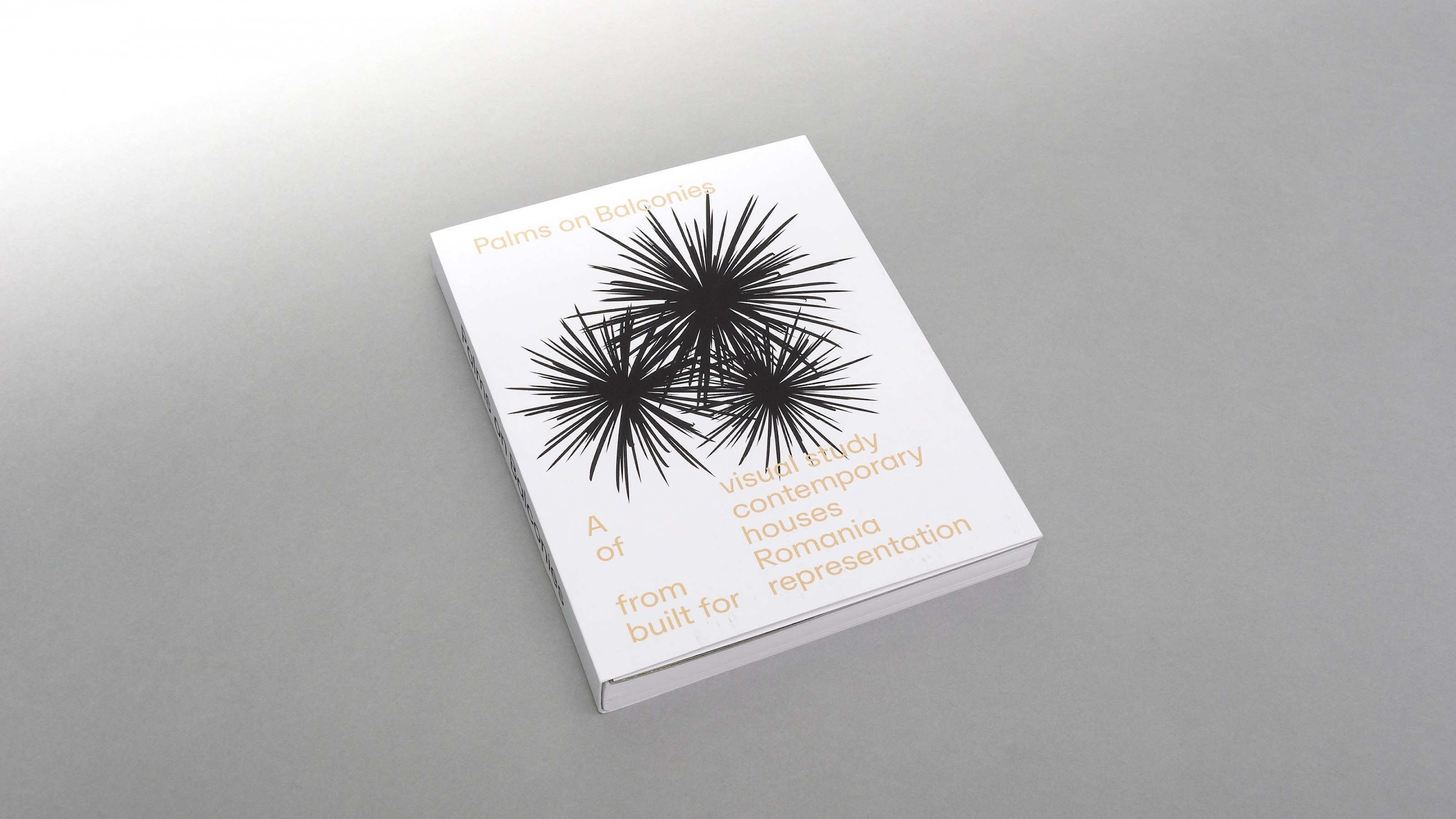 Palms on Balconies – Eine visuelle Studie repräsentativer, zeitgenössischer Eigenheime aus Rumänien