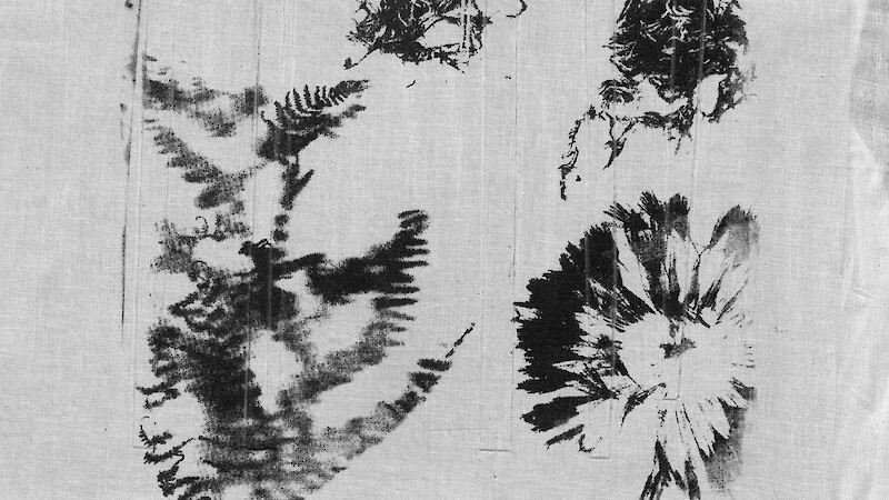 Pēnelópē Notations on Movement and Process