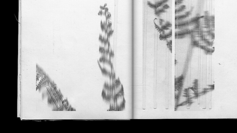 Pēnelópē Notations on Movement and Process